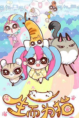 整站seo网站优化技巧